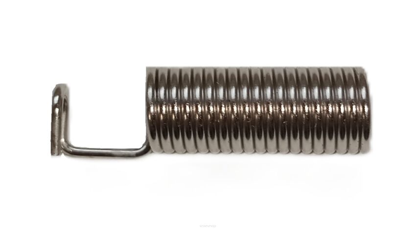 Części zamienne do robota - 2050-169 BF Check Valve Spring
